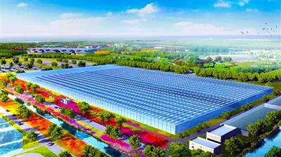 平阴县农业智能温室连栋大棚建设.jpg