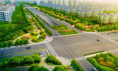 泰中路绿化及照明工程.jpg