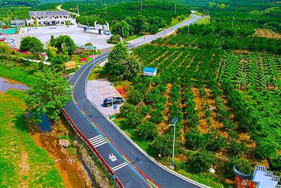 南站街道2022年四好农村路建设.jpg