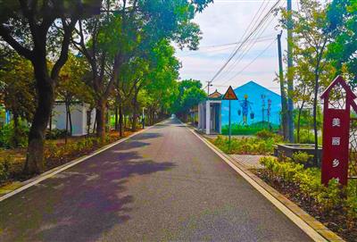 汶上县郭仓镇道路建设.jpg