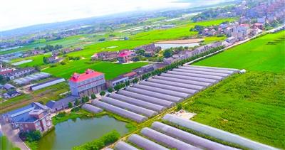 邹城峄山农业科技示范园建设运营项目.jpg