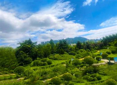 邹城市荒山绿化三年行动2023年荒山绿化.jpg